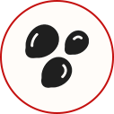 icon-seed